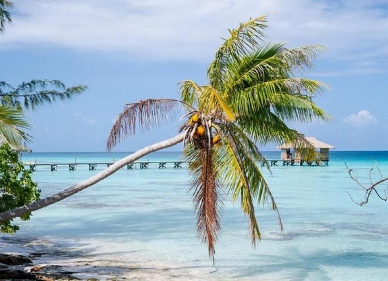 Sunset Hill Lodge Bora Bora Exterior foto